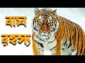 বাঘ রহস্য | Mystery of Tiger | 10 interesting facts of Tiger | Tiger Documentary |