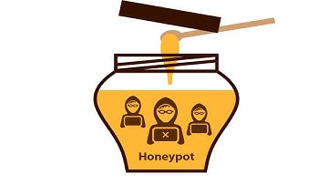 Sistemas de Detección de Intrusos IDS IPS