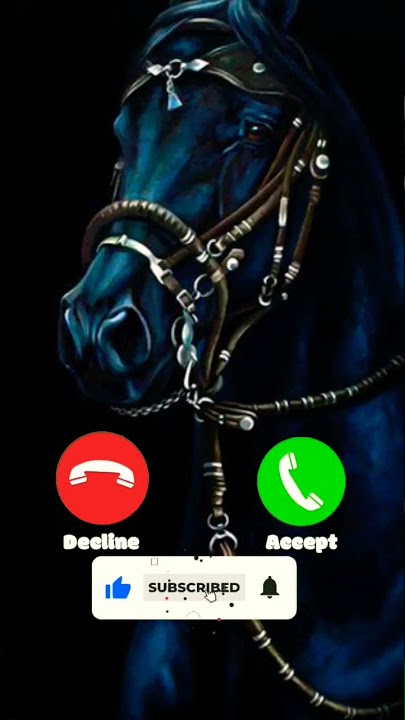 Horse Ringtone Notification ringtone Message ringtone Mobile phone ringtone #horse_ringtone#shorts