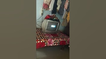 #TIGER T8 HIGH CLASS NEW