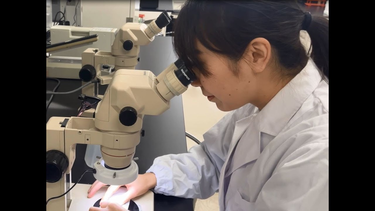 学生インタビュー　研究紹介①　摂南大学農学部　農業生産学科