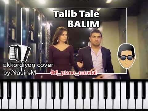 Talib Tale Balim akkordion cover piano tutorial notlari notalari sintizator azeri korg pa 80 pa800 p