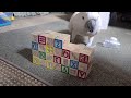 What Does Max Do With Wooden Blocks ?