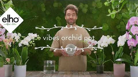 elho how to use video - vibes orchid