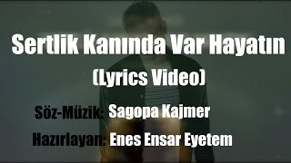 Sagopa Kajmer - Sertlik Kanında Var Hayatın \