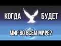 ТАРО прогноз. КОГДА НАСТУПИТ МИР ВО ВСЁМ МИРЕ?