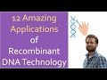 Applications of recombinant dna technology rdt  genetic engineering