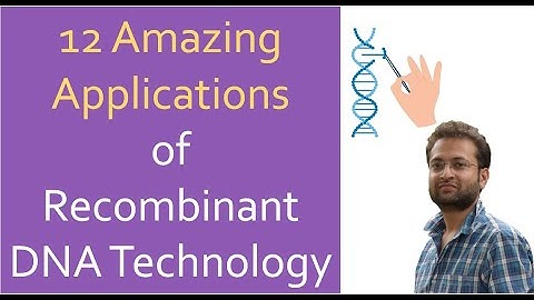 Applications of Recombinant DNA Technology (RDT) | Genetic Engineering