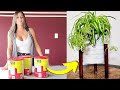 Making a DIY house planter using an old milk can. Simple metal pot idea easy to make.