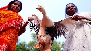 Spicy Duck Curry in Winter Season in Manipuri Style Prepared by Grandmother