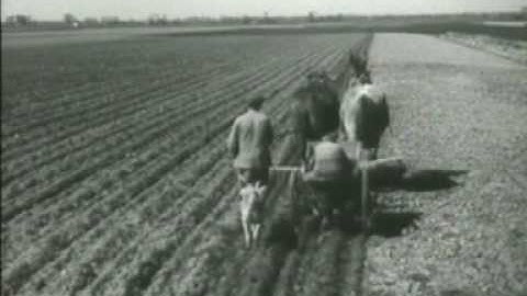 Voedselvoorziening voor komende winter (1944)