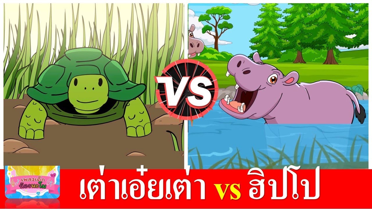 เต่าเอ๋ยเต่า vs ฮิปโป #เพลงเด็๋กอนุบาล #เพลงเด็กน้องนะโม #สื่อการเรียนการสอน