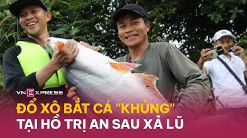 Người dân đổ xô đi bắt cá khủng ở hồ Trị An sau xả lũ | VnExpress