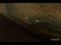 dance under rapapapa sound_mp4