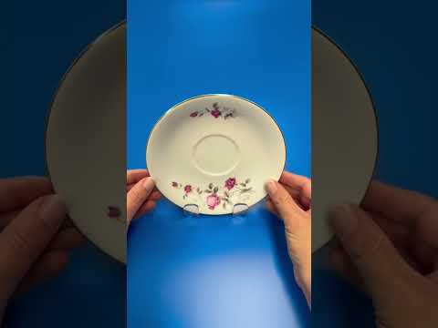 Plastic Plate Stand
