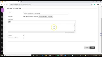 Creating an e-Portfolio on BlackBoard