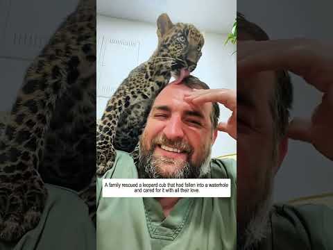 A Small Act of Kindness That Saved an Animal #animals #rescue #wildlife #animalrescue #animallovers