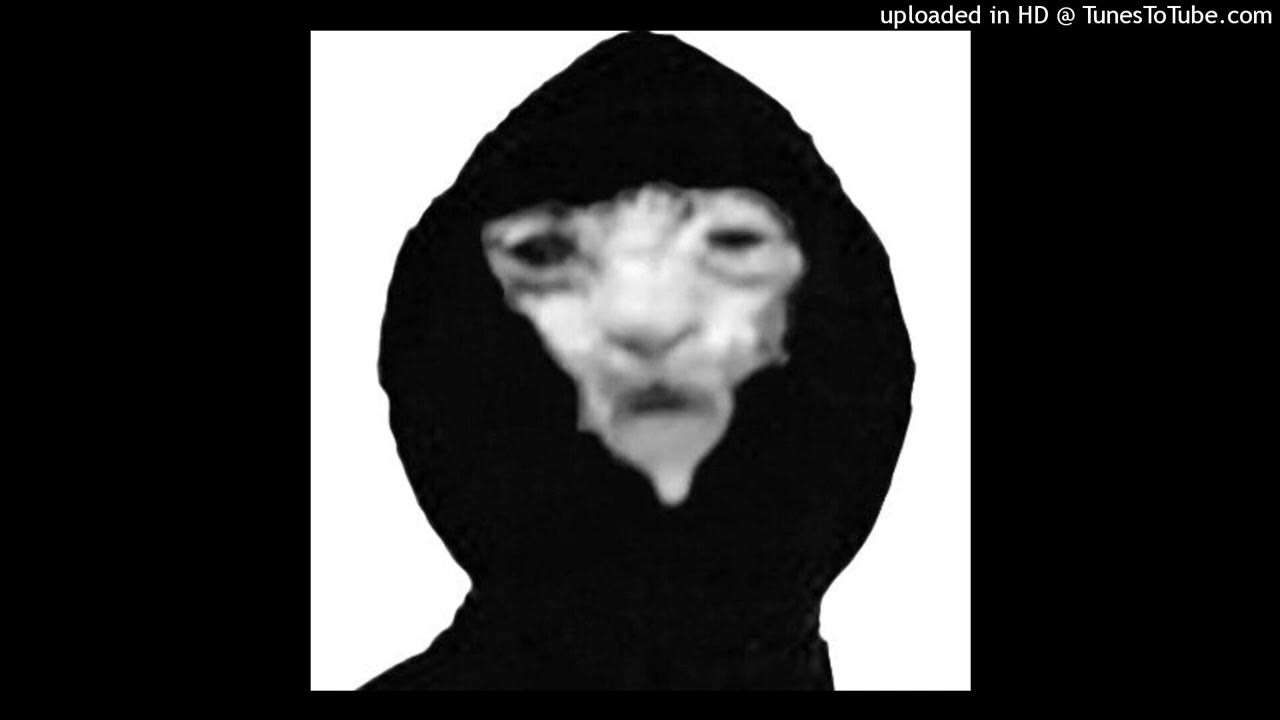 Албанец мем. Выгу выгу выгу туту тутуту. Кот выгу выгу выгу. Мемы выгу выгу. Выгу выгу выгу туту тутуту.