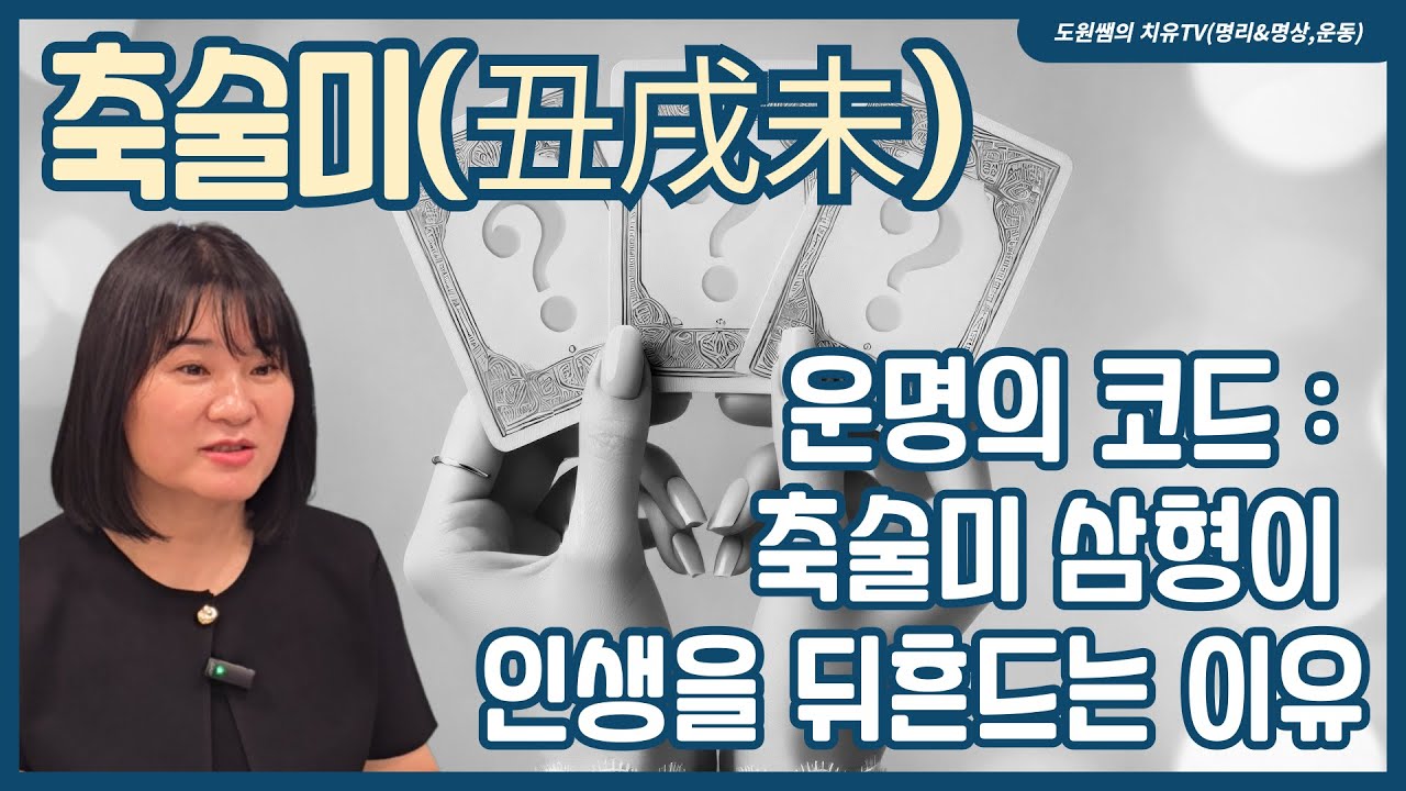 운명의 코드 : 축술미 삼형이 인생을 뒤흔드는 이유와 개운법