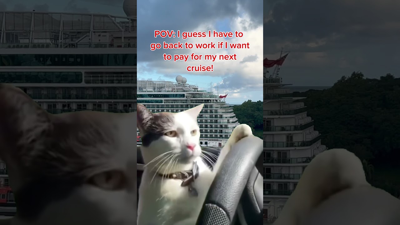 POV: I guess I have to go back to work if I want to pay for my next cruise! #CruiseLife #Cruising