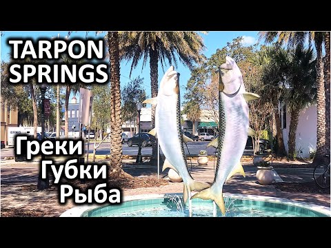 Video: Vreme in podnebje v Tarpon Springsu na Floridi