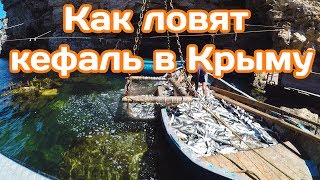 КРЫМ 2017 / Как ловят кефаль в Крыму.