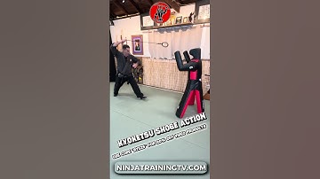 Use code “BYE25” for 20% off all video products at ninjatrainingtv.com #ninja #bujinkan #ninjutsu