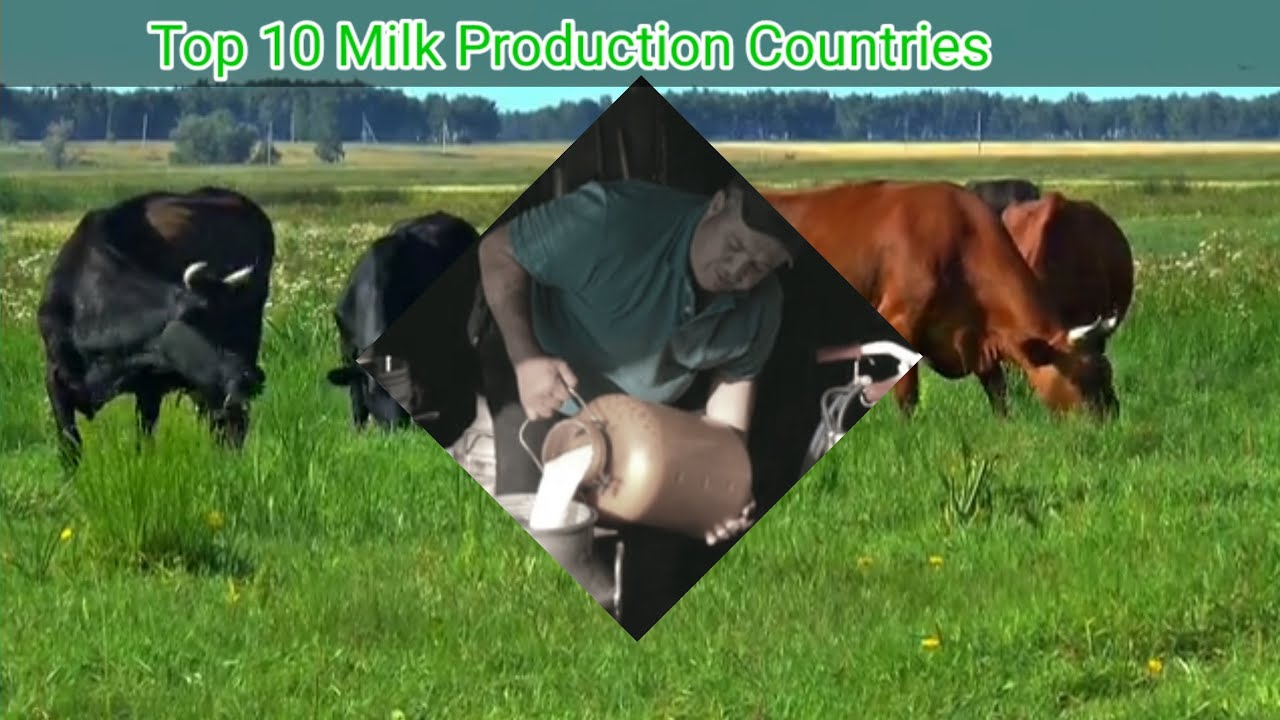 Top ten Milk Production countries/Top 10 Milk Production/Top ten countries/