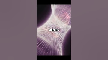 Cosmic Web : The Universe