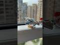 Comment “link” Solar Plane With Fragrance