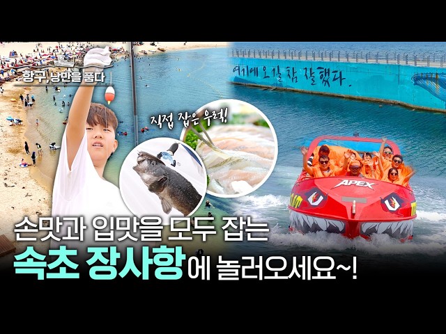 [항구, 낭만을 품다] 5편 속초 장사항 / YTN