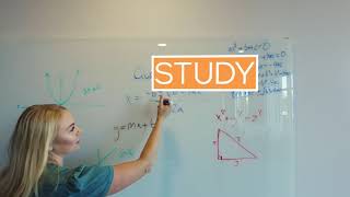 NEXA   Video 2   Study Area
