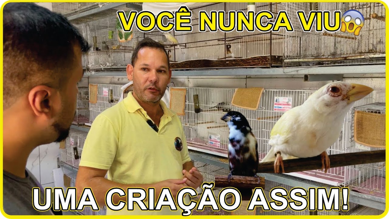 Visitamos um criador com diversas MUTAÇÕES e genética afiada!