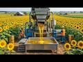 This is How 10 Million Sunflower Seeds Become Your Cooking Oil Every Day
