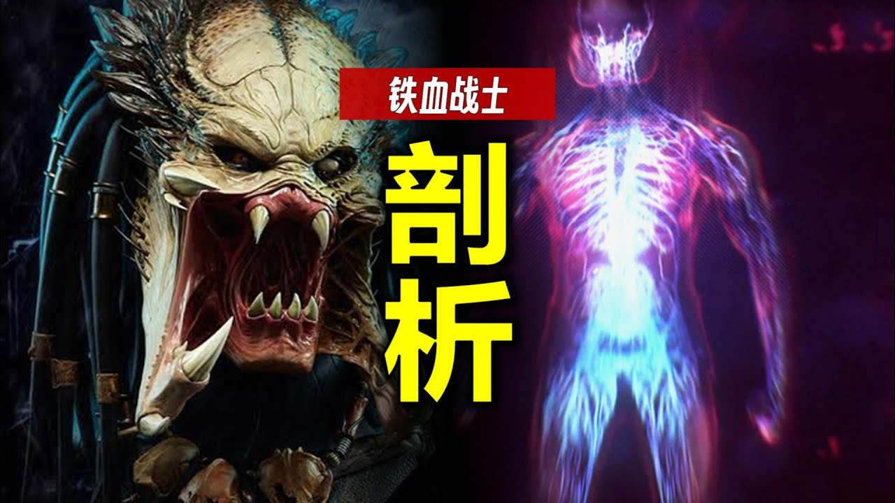 剖析 鐵血戰士：為什麼又野蠻又先進？看完你也能打贏TA！