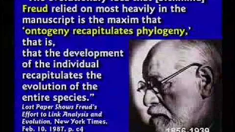 More Reasons Why Evolution Is Stupid by Kent Hovind