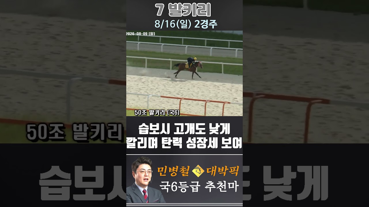 [서울 경마] 민병철 대박픽 2026년 8월 16일 일요 2R 추천마3 #경마 #automobile #한국마사회 #horse #하이라이트 #horseracing #비트코인 #게임