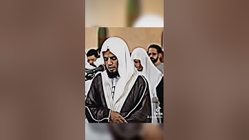 سورة القصص ، قصة قارون | إبداع الشيخ أبو بكر الشاطري