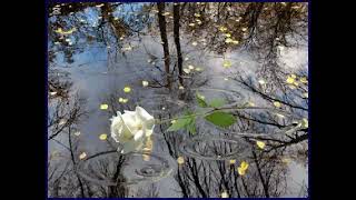 Mutlu Ol Official Video