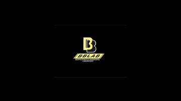 Insect pests recognition based on deep learning