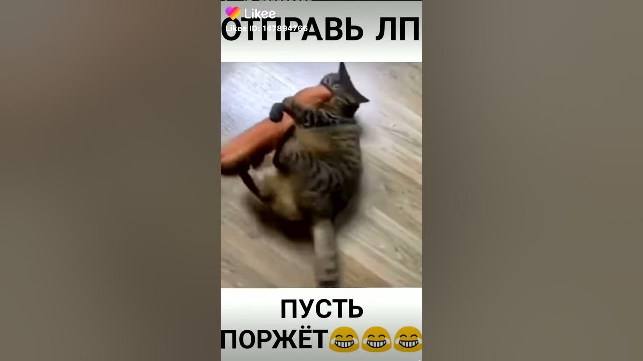 Где мая сасиська... - YouTube