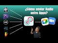 ¿Cómo Enviar Audio desde DAW a ZOOM?