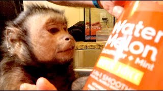 Monkey Watermelon Scented Bath Mail Vlog!