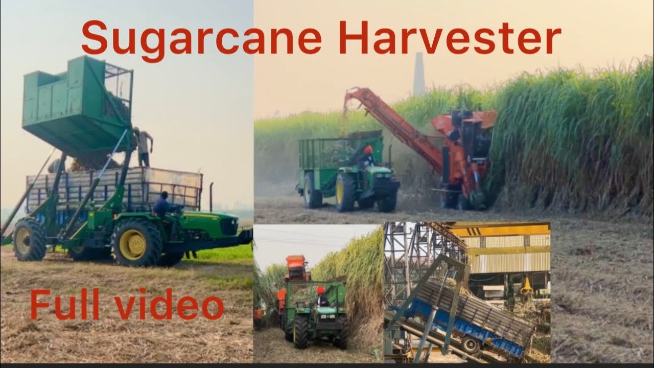 Sugarcane harvester ki full video #riar_sugarcane_farm