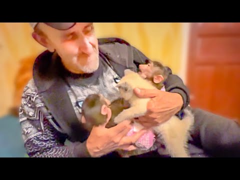 ВЕСЕЛО! У нас курагу любят и Степашка, и Маняшка и даже котенок Басик!