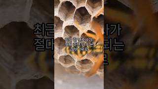 1회 1만 5천 원? 절대 하면 안 되는 알바의 정체