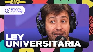 Guía para seguir el VOTO a VOTO de la LEY UNIVERSITARIA: Jairo Straccia #Perros2024