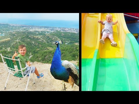 PAUNI si LOC de JOACA Public Pentru Copii