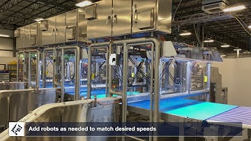 Hygienic Flow-Wrapper Loading | JLS Automation