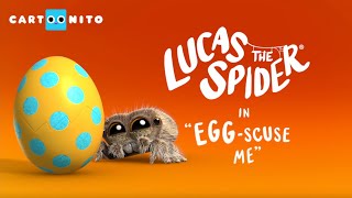 Lucas the Spider - Egg-scuse me - Short screenshot 2